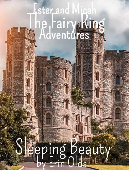 Cover of the book Sleeping Beauty by Erin Olds, Self Published