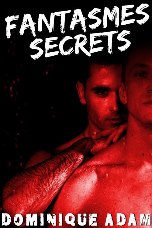 Cover of the book Fantasmes Secrets by Dominique Adam, Dominique Adam