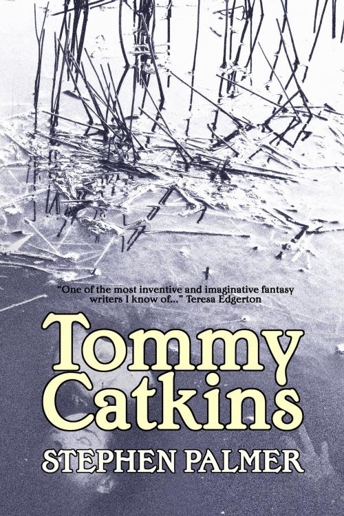 Cover of the book Tommy Catkins by Stephen Palmer, infinity plus
