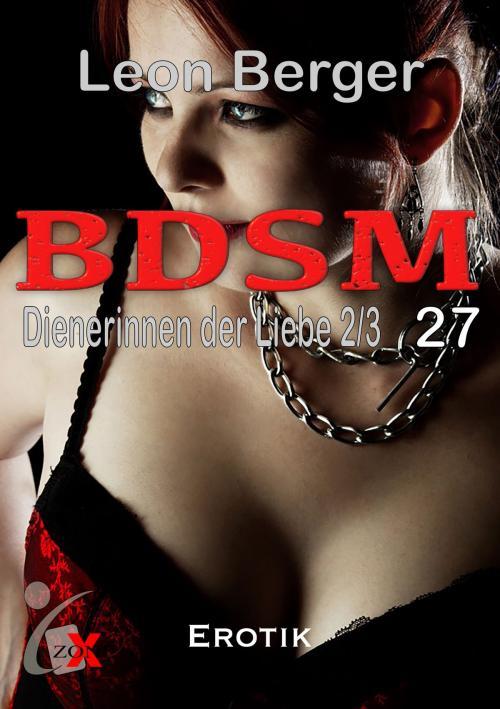 Cover of the book BDSM 27 by Leon Berger, xZone