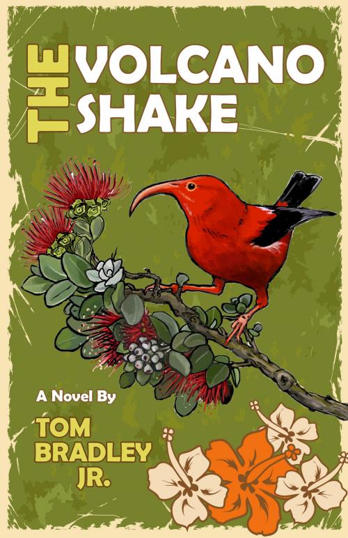 Cover of the book The Volcano Shake by Tom Bradley Jr., Tom Bradley Jr.