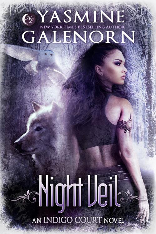Cover of the book Night Veil by Yasmine Galenorn, Nightqueen Enterprises LLC