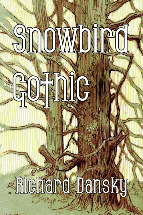 Cover of the book Snowbird Gothic by Richard Dansky, Crossroad Press