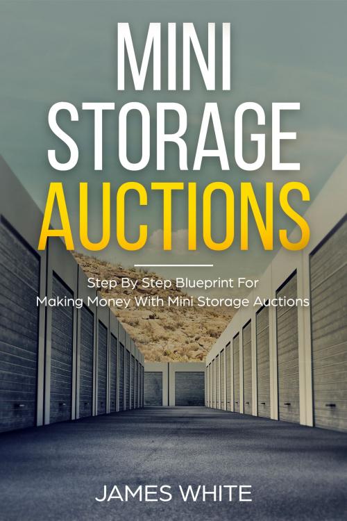 Cover of the book Mini Storage Auctions by James White, Mark Williams