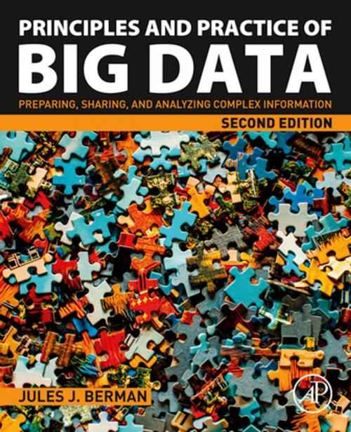 Cover of the book Principles and Practice of Big Data by Jules J. Berman, Elsevier Science