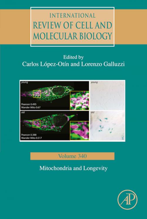 Cover of the book Mitochondria and Longevity by Carlos Lopez-Otin, Lorenzo Galluzzi, Elsevier Science