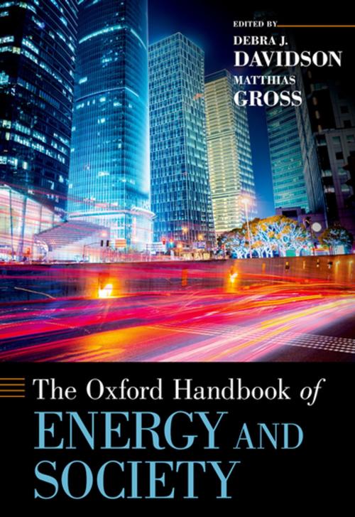 Cover of the book The Oxford Handbook of Energy and Society by , Oxford University Press