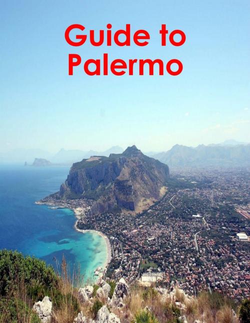 Cover of the book Guide to Palermo by World Travel Publishing, Lulu.com