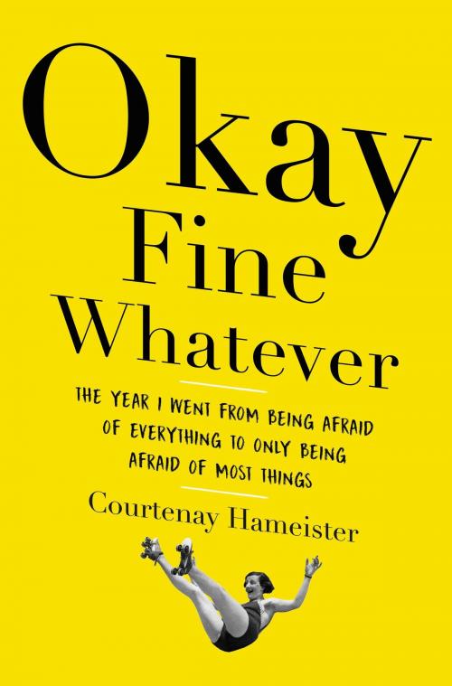 Cover of the book Okay Fine Whatever by Courtenay Hameister, Little, Brown and Company