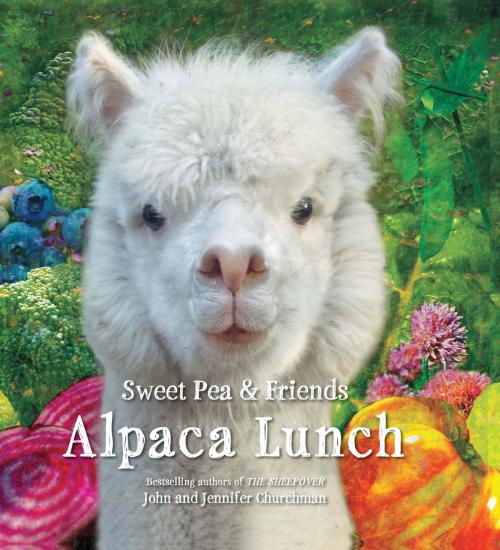 Cover of the book Alpaca Lunch by John Churchman, Jennifer Churchman, Little, Brown Books for Young Readers