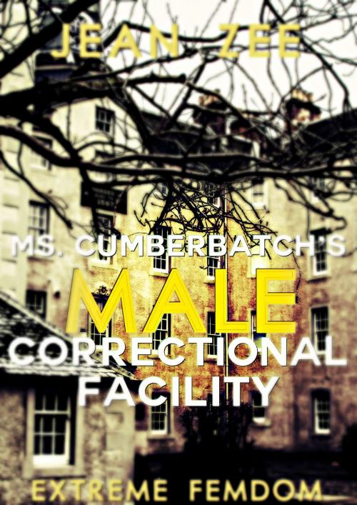 Cover of the book Ms. Cumberbatch's Male Correctional Facility by Jean Zee, Phoenix Rising Publishing