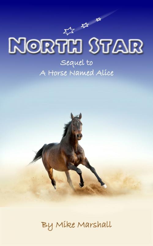 Cover of the book North Star by Mike Marshall, Mike Marshall