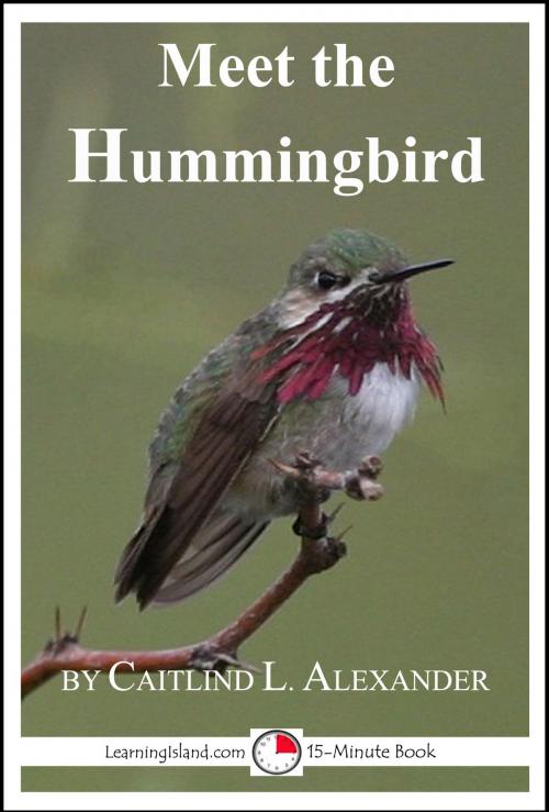 Cover of the book Meet the Hummingbird by Caitlind L. Alexander, LearningIsland.com