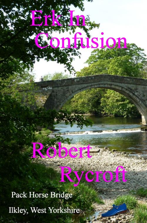 Cover of the book Erk In Confusion: The Blue Shoe by Robert Rycroft, Robert Rycroft
