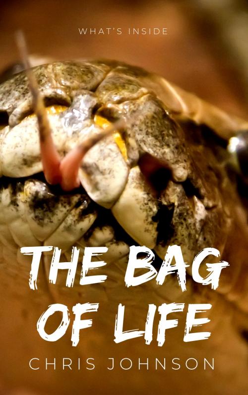 Cover of the book The Bag of Life by Chris Johnson, Chris Johnson