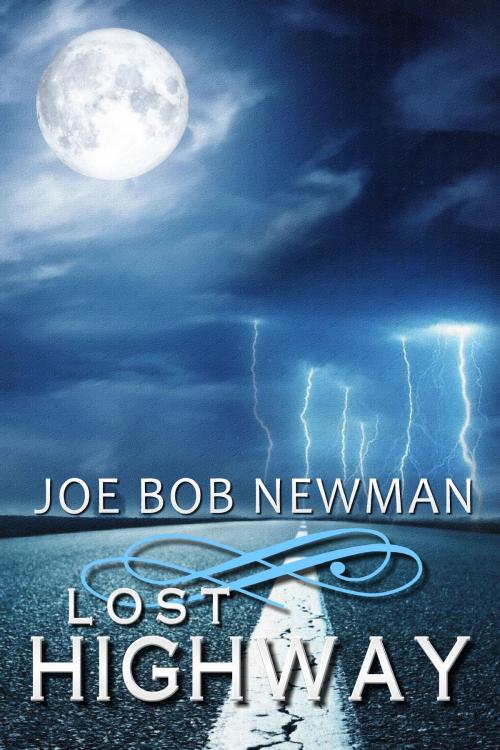 Cover of the book Lost Highway by Joe Bob Newman, Joe Bob Newman