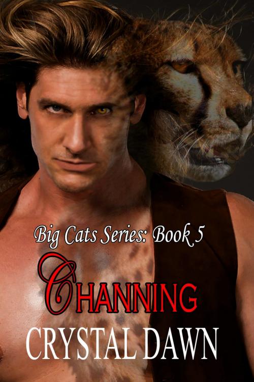 Cover of the book Channing by Crystal Dawn, Crystal Dawn
