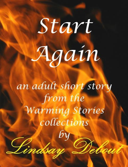 Cover of the book Start Again by Lindsay Debout, Lindsay Debout