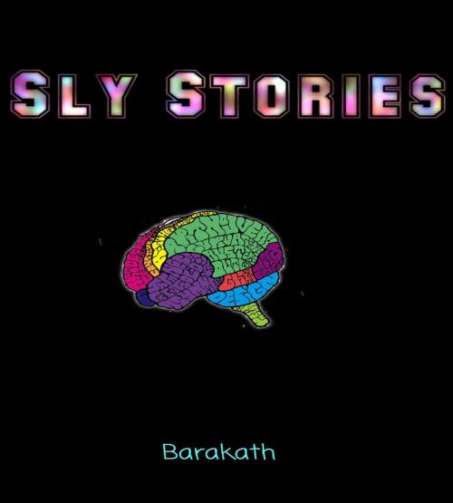Cover of the book Sly Stories by Barakath, Barakath