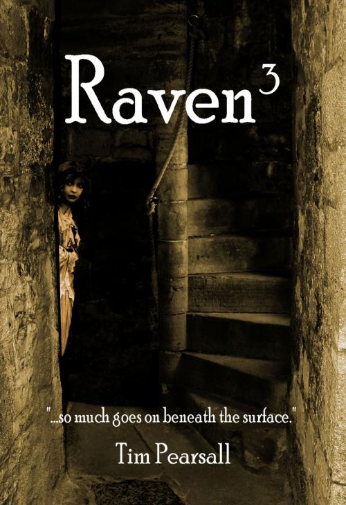 Cover of the book Raven 3: "So Much Goes on Beneath the Surface." by Timothy Pearsall, Timothy Pearsall