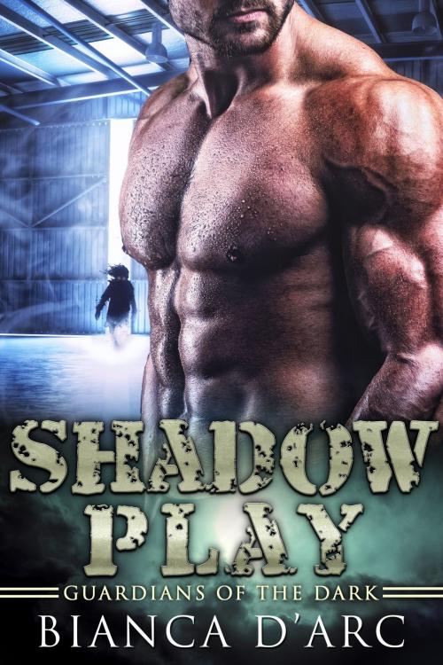 Cover of the book Shadow Play by Bianca D'Arc, Hawk Publishing, LLC