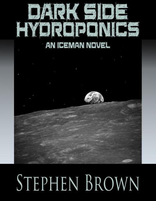 Cover of the book Dark Side Hydroponics by Stephen Brown, Stephen Brown