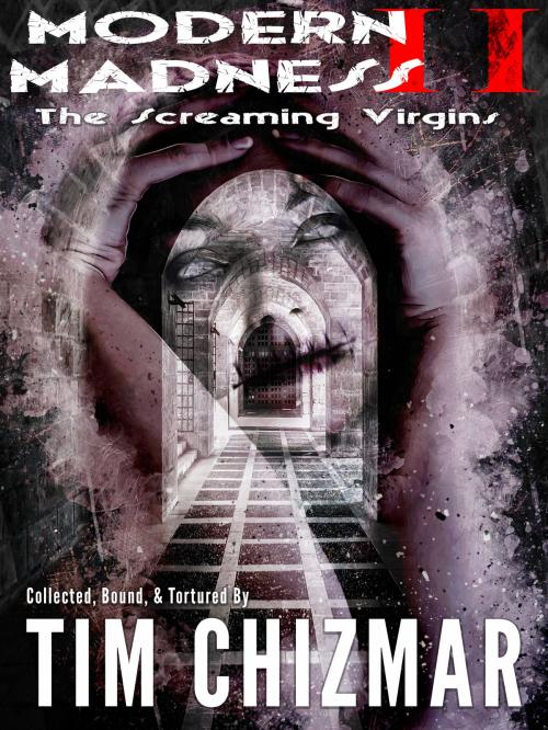 Cover of the book Modern Madness 2: The Screaming Virgins by Tim Chizmar, SpookyNinjaKitty