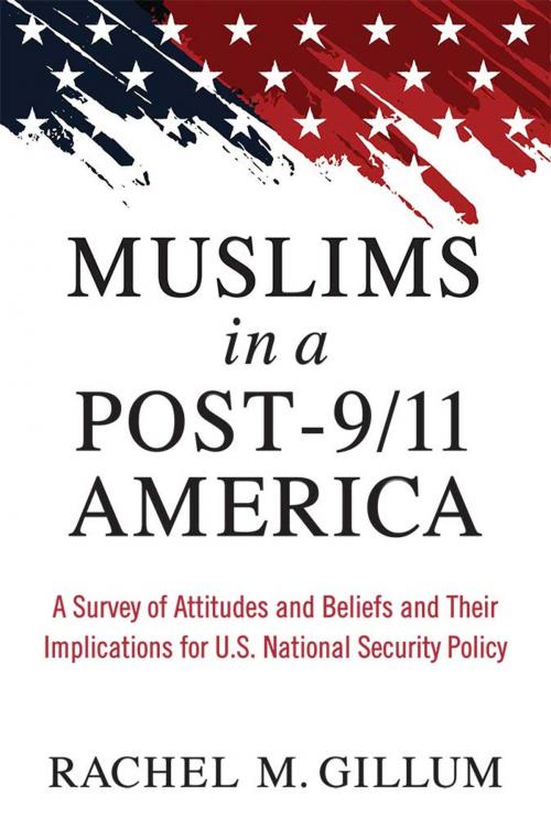 Cover of the book Muslims in a Post-9/11 America by Rachel M Gillum, University of Michigan Press
