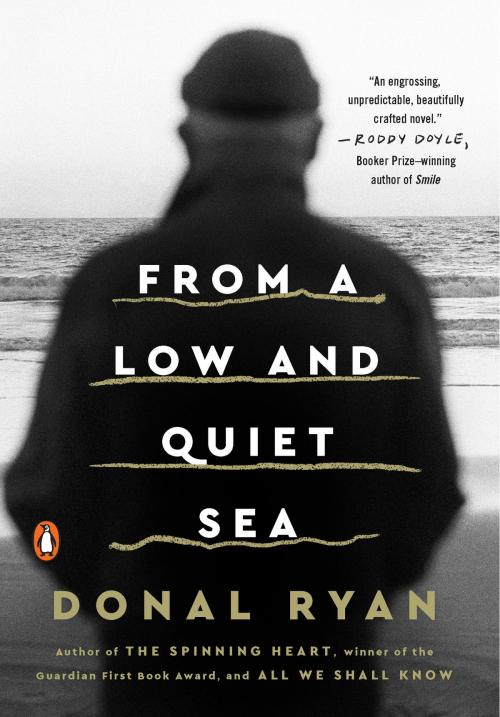 Cover of the book From a Low and Quiet Sea by Donal Ryan, Penguin Publishing Group