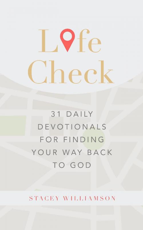 Cover of the book Life Check by Stacey C Williamson, Kingdom Publishing, Inc.