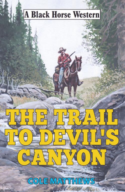 Cover of the book Trail to Devil's Canyon by Cole Matthews, Robert Hale