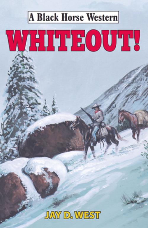 Cover of the book Whiteout! by Jay D West, Robert Hale