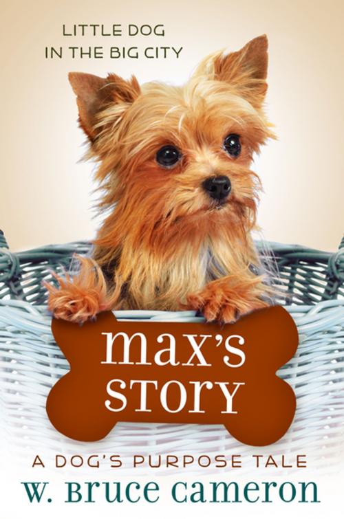 Cover of the book Max's Story by W. Bruce Cameron, Tom Doherty Associates