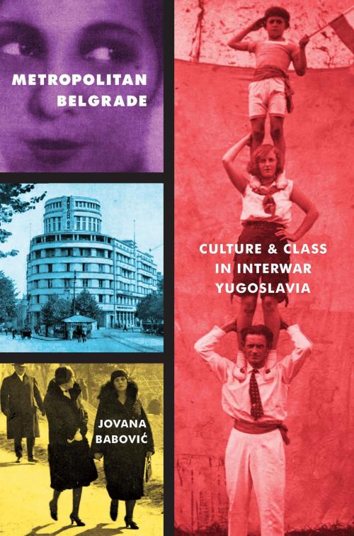 Cover of the book Metropolitan Belgrade by Jovana Babovic, University of Pittsburgh Press