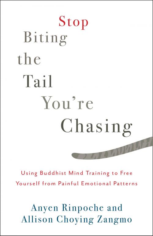 Cover of the book Stop Biting the Tail You're Chasing by Anyen Rinpoche, Allison Choying Zangmo, Shambhala