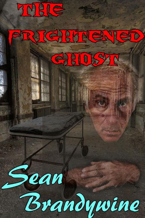 Cover of the book The Frightened Ghost by Sean Brandywine, Strict Publishing International