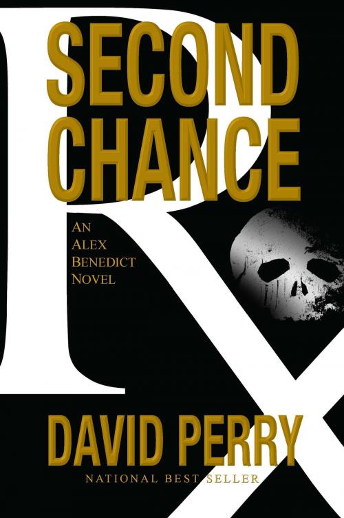 Cover of the book Second Chance: An Alex Benedict Novel by David Perry, David Perry