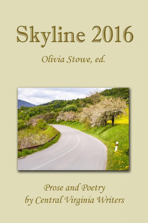 Cover of the book Skyline 2016 by Olivia Stowe, Cyberworld Publishing