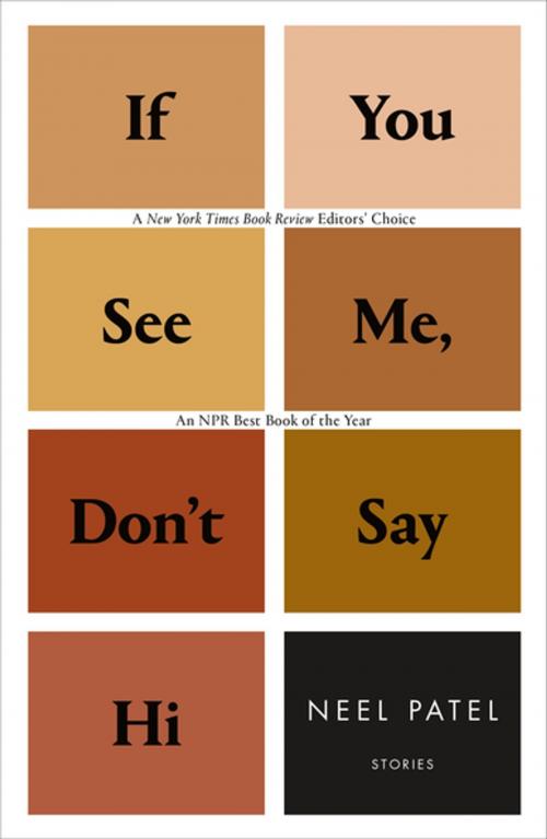 Cover of the book If You See Me, Don't Say Hi by Neel Patel, Flatiron Books