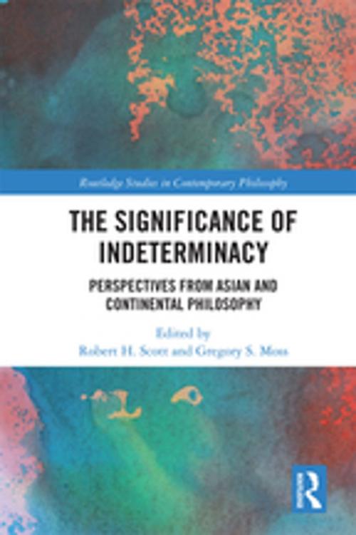 Cover of the book The Significance of Indeterminacy by , Taylor and Francis