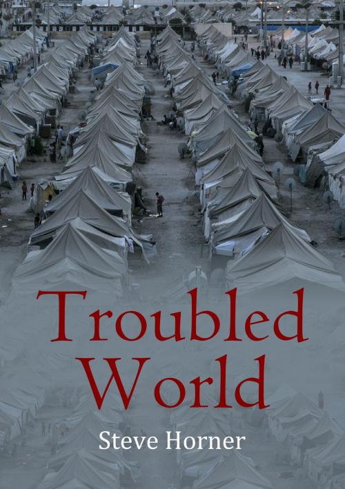 Cover of the book Troubled World by Steve Horner, Steve Horner