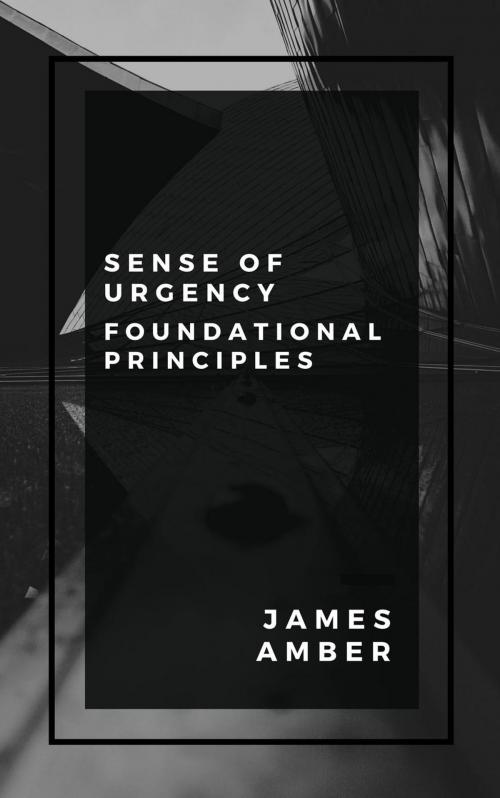 Cover of the book Sense of Urgency: Foundational Principles by James Amber, Personal Growth