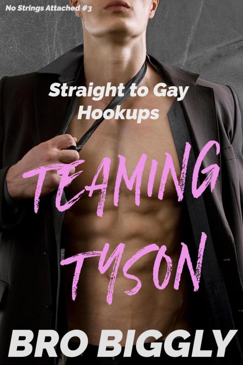 Cover of the book Teaming Tyson: Straight to Gay Hookups by Bro Biggly, Perturbed Puppy Press