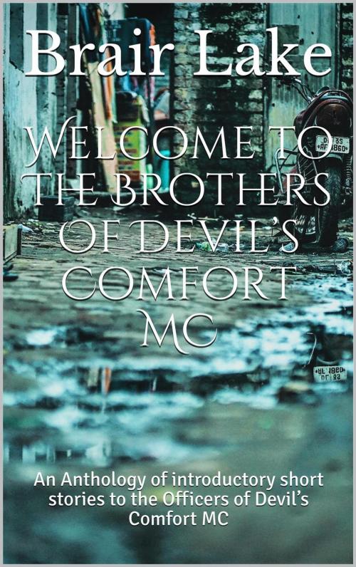 Cover of the book Welcome to The Brothers of Devil's Comfort by Brair Lake, Blue Dove Publications