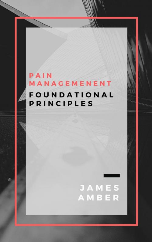 Cover of the book Pain Management: Foundational Principles by James Amber, Personal Growth