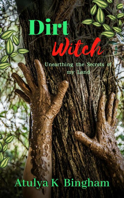 Cover of the book Dirt Witch by Atulya K Bingham, Atulya K Bingham
