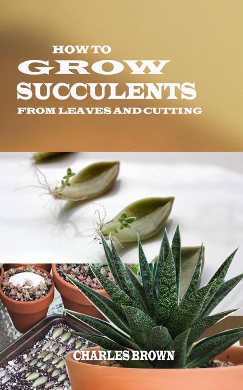 Cover of the book How to Grow Succulents From Leaves and Cuttings by Charles Brown, Kerry Robbinson