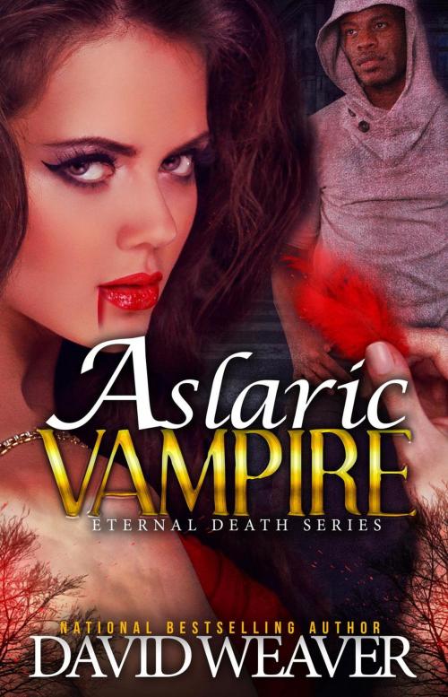Cover of the book The Aslaric Vampire by David Weaver, David Weaver