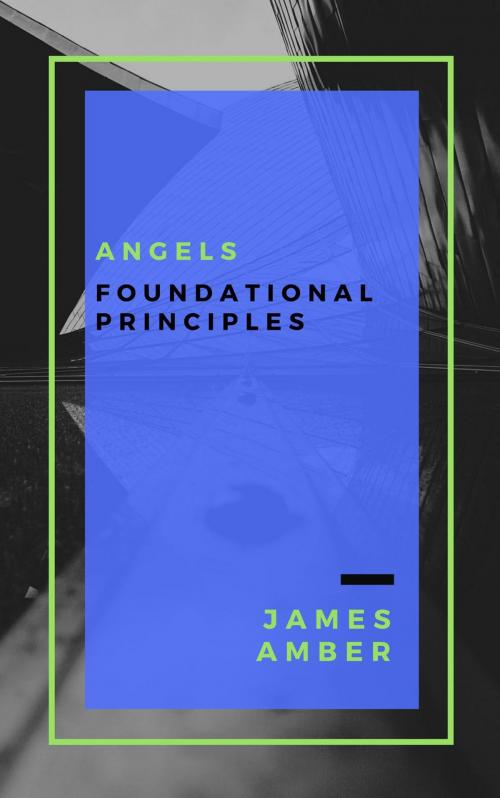 Cover of the book Angels: Foundational Principles by James Amber, Personal Growth