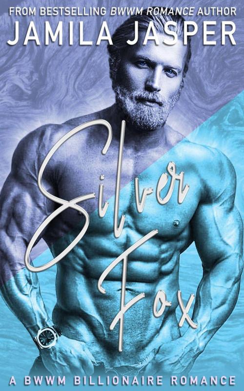 Cover of the book Silver Fox by Jamila Jasper, Jamila Jasper